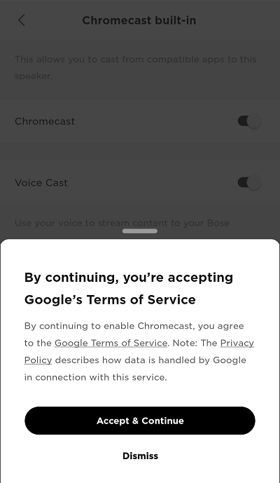 Google Terms of Service and Privacy Policy links